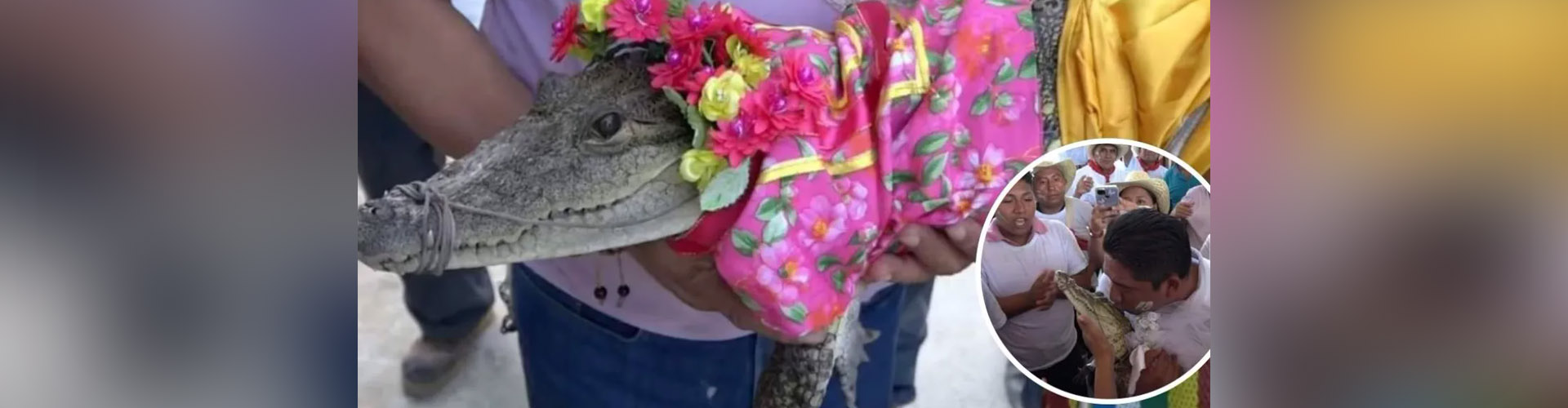Alcalde de Oaxaca se casa con una lagarta en San Pedro Huamelula